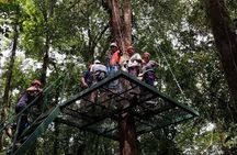 Zip-line Adventure