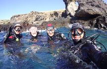 Discover Scuba Diving, free pictures included