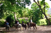 Finca San Lucas, Copan