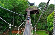 Tree Limin' Extreme Zipline