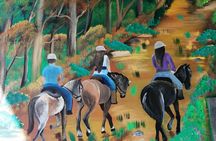 Horseback Riding Tour
