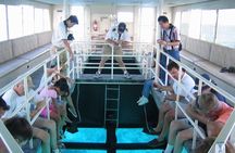Glass Bottom Boat Trip in Sharm el Sheikh