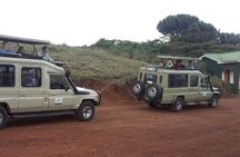Mikumi National Park 2 Days/ 1 Night