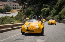 4-Hour Painted Ladies and Haight-Ashbury GoCar Tour