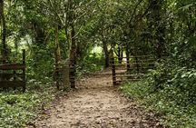 The Last Bath Slave River & Cape Coast Castle Tour