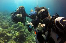 2 tank guided dive House Reef (Pierbaai Reef and Car Pile)