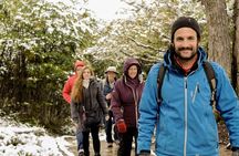 Ushuaia: Full day Trekking and Canoeing in Tierra del Fuego National Park