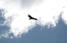 Uco Valley Horseback Riding Tour with Traditional Argentine Lunch