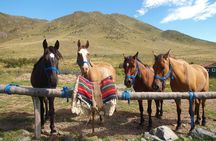 Uco Valley Horseback Riding Tour with Traditional Argentine Lunch