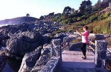 Zapallar Walking & Bird Watching Penguins From Valpo.Private Tour
