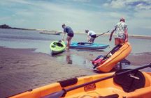 Kayak Private tour at Juan Venado Island