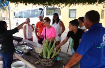 Customized Aruba Island Private Tour for All Ages 