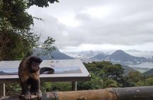 Top Tijuca Forest Private Tour with Botanical Garden