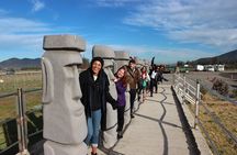 Tour Valparaíso + Viña del Mar + Casablanca Valley
