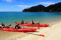 Oarsome Marine Reserve Kayak Tour