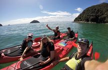Oarsome Marine Reserve Kayak Tour