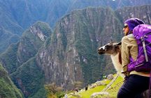 Machu Picchu Full Day Tour