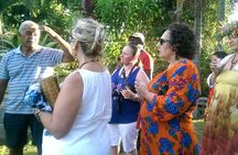 Rarotonga Orientation & Sightseeing Tour