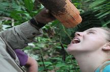 Amazon River Expeditions with Guide for 5 Days 4 Night Ecolodge 