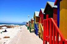 Brilliant Fun Private Tours to Cape Point - Avoid the Lines - Avoid the Crowds