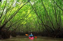 Deep Mangrove and Canyon Kayak Tour in Krabi
