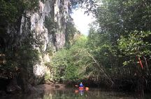 Deep Mangrove and Canyon Kayak Tour in Krabi