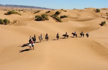 Desert Trail in Morocco on Horseback 