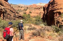 Paddleboard & Hiking 2 Day Trip from Las Vegas to Sand Hollow & Snow Canyon, UT
