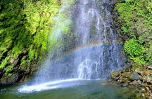 Dark View Waterfall and Beach Tour
