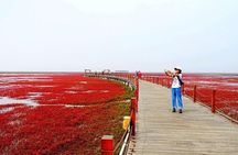 All-Inclusive Private Day Tour to Red Beach in Panjin City
