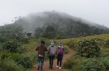 Horton Plains National park