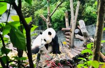 Private Chengdu City Highlight Day Tour