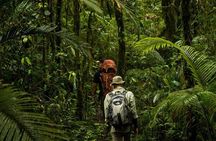 Sulawesi Tangkoko National Park Private Tour