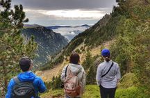 Pyrenees Mountain Train and Nature Walk