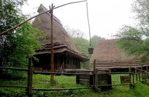 3-Hour Private Shevchenkivskyi Hai Open-Air Museum Tour from Lviv