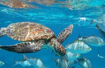 Best Seller - Surin Islands Snorkeling Trip from Khao Lak