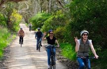 Discover McLaren Vale on eBikes - Full Day
