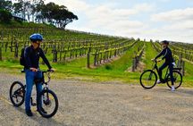 Discover McLaren Vale on eBikes - Full Day