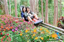 Dalat Private Tour Package in 2 Days