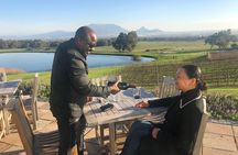 Wine Tasting Private Tour through Durbanville Winelands