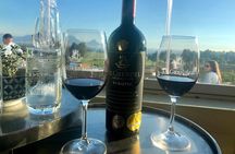 Wine Tasting Private Tour through Durbanville Winelands