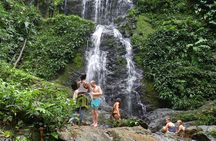 Full-Day Brownsberg Nature Park Tour