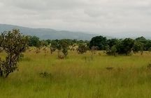 Half-day Accra Safari Tour