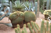 From Agadir: Marrakech Excursion Full-Day Trip