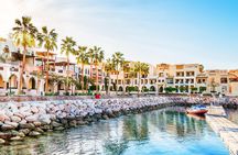 2 – Night Private Overnight Aqaba Independent Tour from Amman 