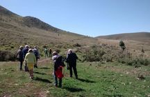 Mendoza Trekking Tour in Cordón del Plata with Argentine Lunch