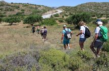 Karpathos Valley Walk in Pigadia - easy guided walking tour