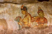 Bentota - Sigiriya – Dambulla- Minneriya National Park : 2 Days Trip