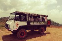 4x4 Jungle Safari to Waterfall & Delicious Rainforest Lunch