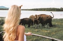 3 Days Tour to Sigiriya & Kandy with Kingfisher Tours Sri Lanka